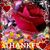 Theresa Orciuolo's profile image