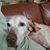 Cookie Gilpatrick's profile image