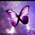 La Patrona's profile image