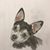 John Duncan's profile image