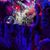 Dani Garay's profile image