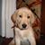 Sandy Gary Stover's profile image