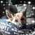 Kimberly Rose's profile image