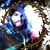 Daniel Vaarheid's profile image