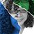Carla Watson's profile image