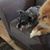Ann Marie Thomas's profile image