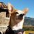 Crystal M. Romero's profile image