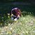 Deborah Herendeen's profile image