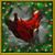 Kaia Morrigan's profile image