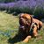 Kevin Bordy Bordeaux's profile image
