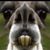 Tom Bishop's profile image
