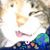 Ellen Press's profile image