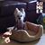 Barbara Kelly's profile image