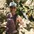 Rachel Elizabeth Helms's profile image