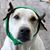Doug N Dianne Richards's profile image