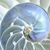Nautilus Real Estate's profile image