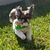 Kanoe Durocher's profile image
