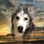 Marianne Nusbaum's profile image