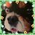 Wendy Finney's profile image