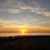 Annette J Tidwell's profile image