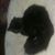 LeeAnn C. Weidner's profile image