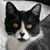 Marci Girling McPeak's profile image