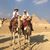 Sandy Schenck-heisch's profile image