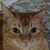 Jeannine Zierman's profile image