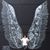 Misty Papenhagen Winkler's profile image