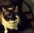 William Cloninger's profile image