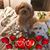 Elaine Wills's profile image