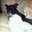 Stanley Soja's profile image