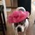 Marie Vowell's profile image