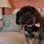 Judy Davis's profile image