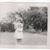 Judy Adams Wise's profile image