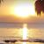 Kathy Lynn O'Rourke Srutowski's profile image