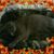 Amy O'Grady's profile image