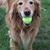 Janet Choiniere Goodine's profile image