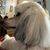 Maria Gagnon Schoff's profile image
