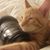 Jane Rickard's profile image