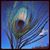 Amy Brown Ulrich's profile image
