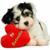 Angel Rios's profile image