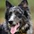 Judy DeShazo's profile image