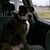 Sharron Lane Leeka's profile image