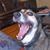 Christopher John's profile image