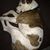 Gissell Adriana Ocampo's profile image