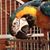 Tiffany Lindsey's profile image