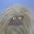 Lynsey Tomlinson's profile image