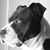 DeVern Snider's profile image
