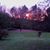 Andrea Latham's profile image